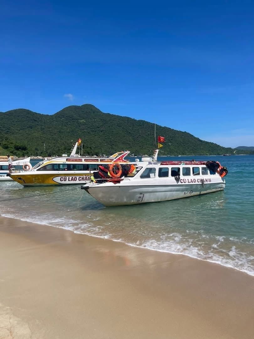 03. Tour Cù Lao Chàm 1 Ngày | Lặn Ngắm San Hô & Đi Canô Siêu Tốc ( Giá chỉ từ $26/ 1 khách)