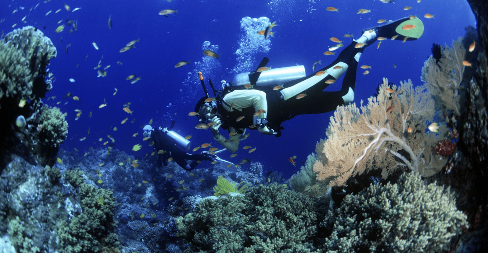 04. Tour Lặn Biển Cù Lao Chàm Hội An | Fun Dive & Try Dive Cho Tất Cả Mọi Người