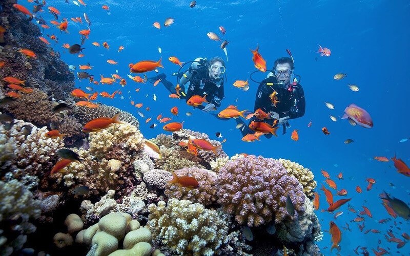 04. Tour Lặn Biển Cù Lao Chàm Hội An | Fun Dive & Try Dive Cho Tất Cả Mọi Người