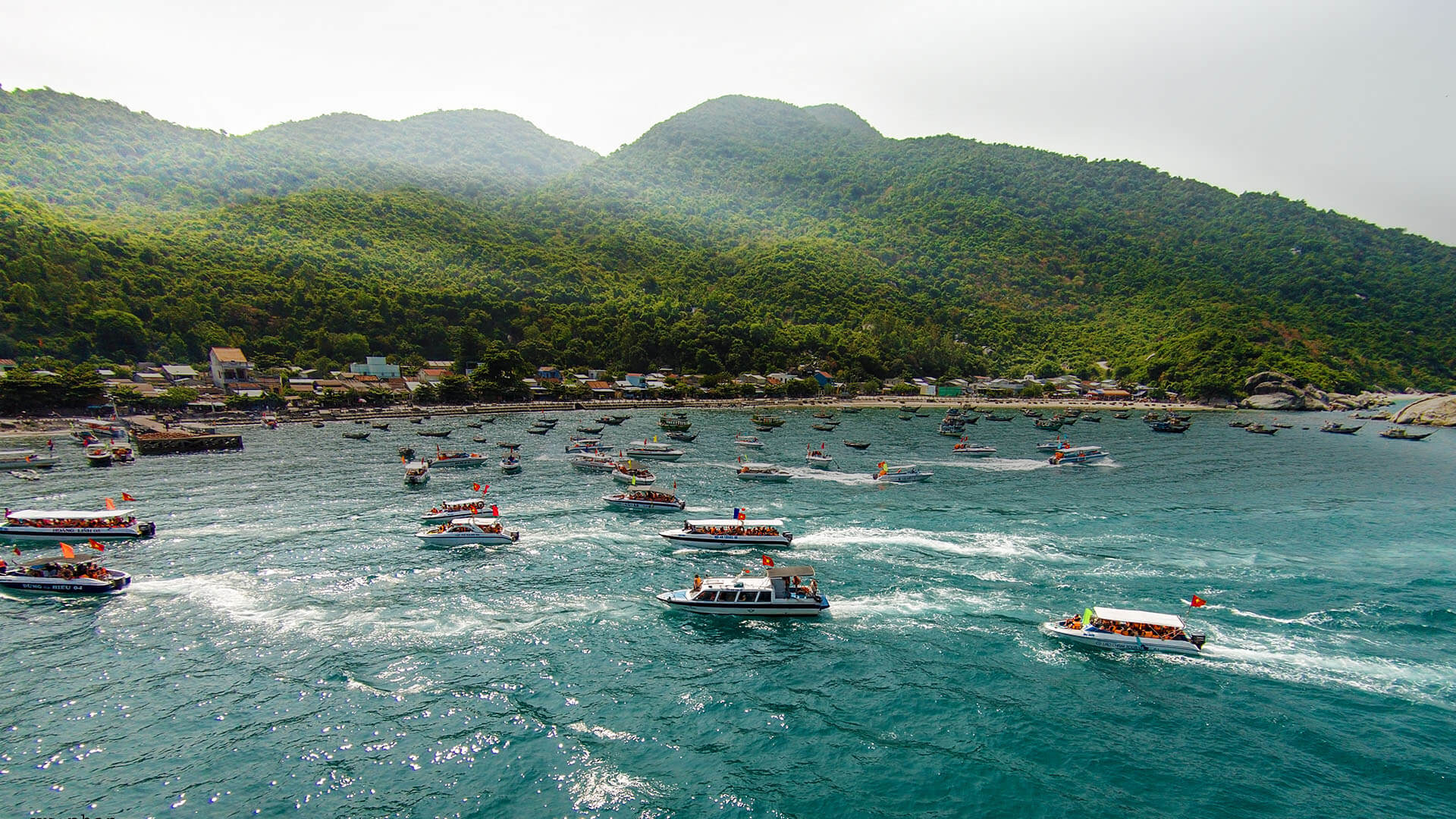 03. Tour Cù Lao Chàm 1 Ngày | Lặn Ngắm San Hô & Đi Canô Siêu Tốc ( Giá chỉ từ $26/ 1 khách)